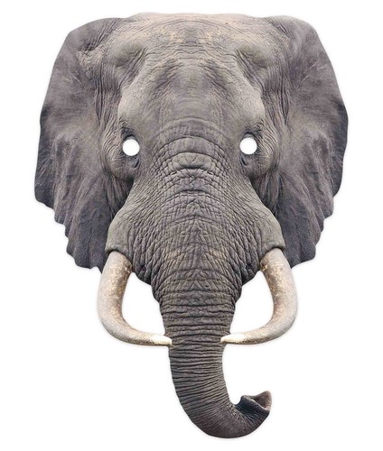 Elephant animal single card - animal, 2d