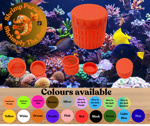 Marine safe mushroom coral - marine,