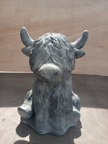 Highland cow - cow,