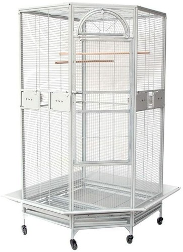 Seny corner bird - seny, for