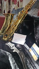 Brass berkeley alto - brass, rs
