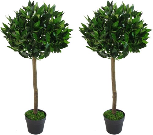 Leaf design pair of - pair,