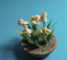 Dolls House Miniature POTTED