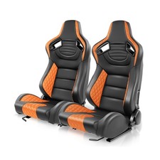 Auto Dynasty Pair of Racing