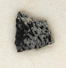 Hadrosaur Egg Shell Fossil