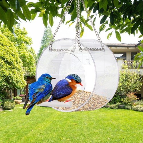 Clear round bird - clear, feeder