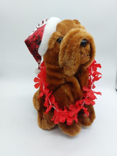Pbc intl shar pei - pei, puppy