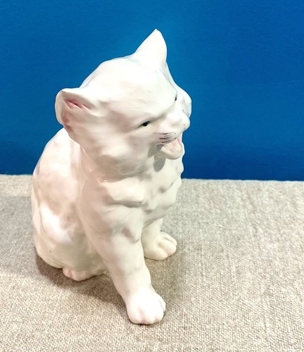 Riyal dux hissing cat - riyal,