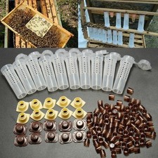 Complete Bee Queen Rearing