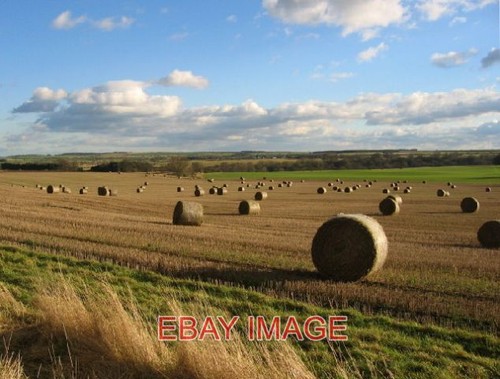 Photo field round straw - field,