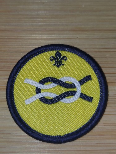 Scouting current beaver - uk,