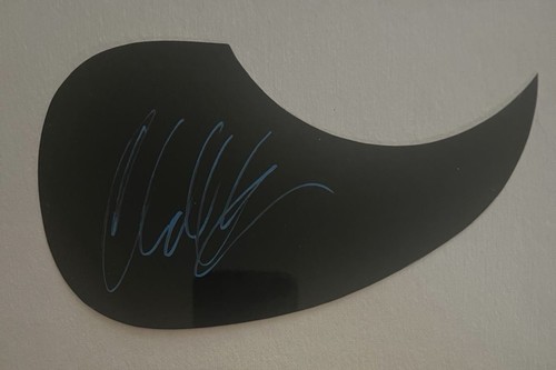 Chad kroeger signed guitar - chad,