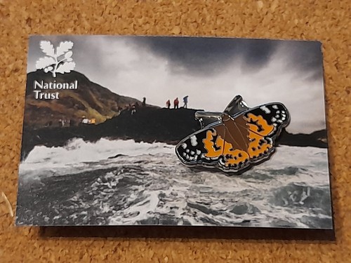National trust giants causeway - national,