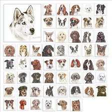 Waggydogz Canvas Dogs and Puppies Wall Art 40cm x 40cm by Aritst Christine Va...