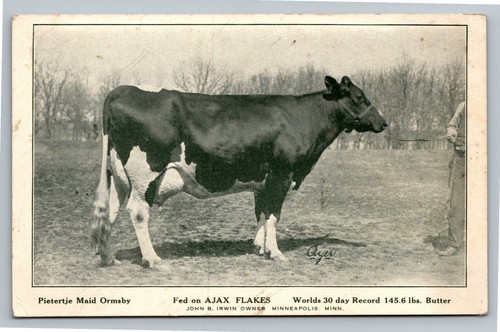 Pietertje maid ormsby cow - ormsby,