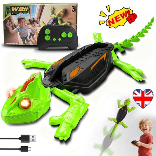 Wall crawler gecko - wall,