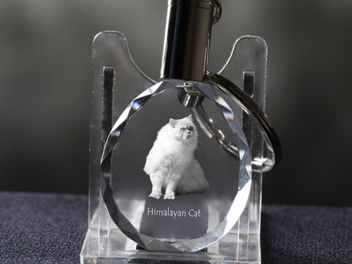 Himalayan cat crystal - himalayan, cat,