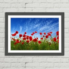 Red poppies field canvas - red,