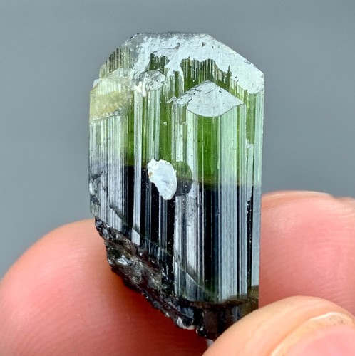 06gram natural bicolour - 06gram,