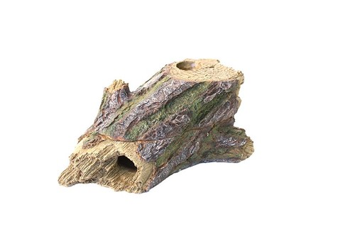 Komodo forest hiding - komodo,