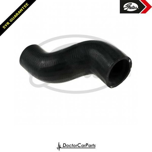 Radiator hose pipe lower for - hose,