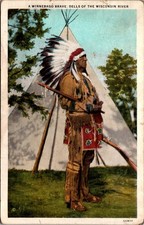 Winnebago Brave Dells
