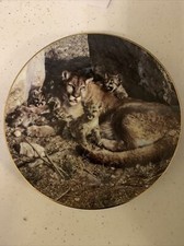 Bradford Exchange Plate Rocky Camp By Carl Brenders A Family Affair