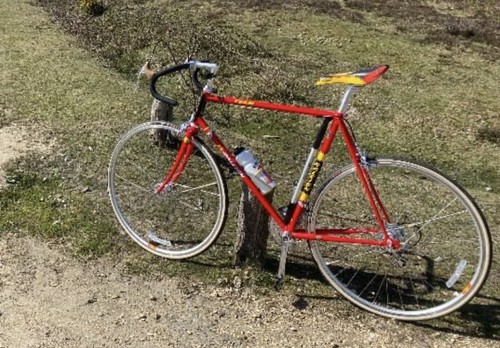 Raleigh 753 40th - raleigh, ti
