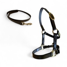 MINI SHETLAND FOAL LEATHER