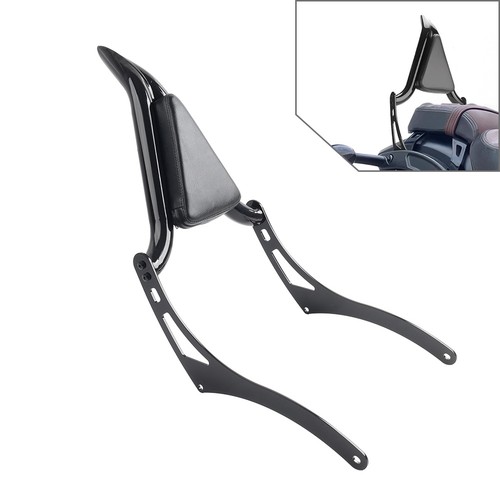 Passenger backrest sissy bar - passenger,