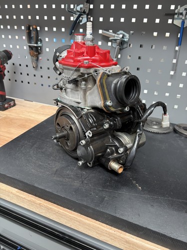 Rotax senior max kart - rotax, engine