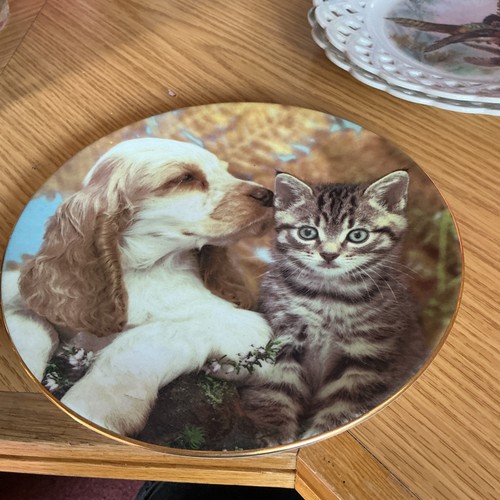 Royal worcester spaniel - worcester,