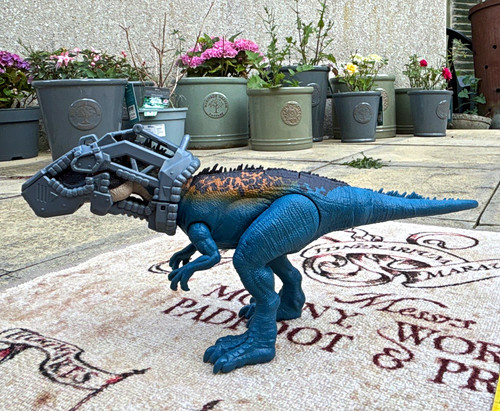Large blue carcharadontasaur - large,