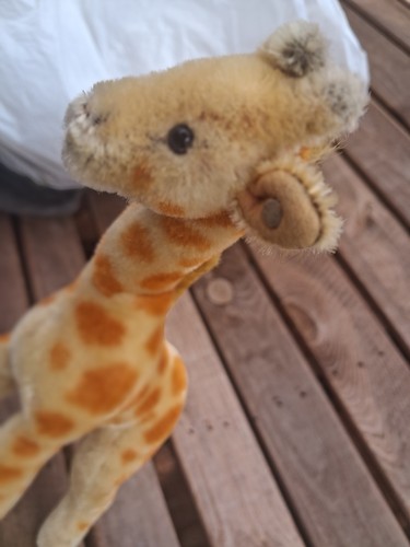 Steiff giraffe genuine with - steiff,