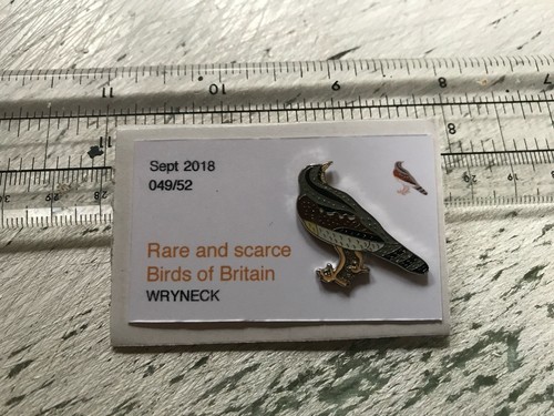 Rspb interest wryneck enamel - interest,
