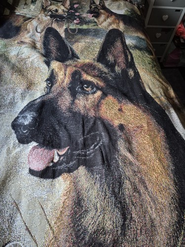 Large german shepherd - large,