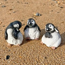 3 Baby Penguin Bird Garden