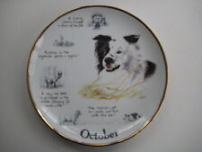 DANBURY MINT COLLECTOR PORCELAIN PLATE BORDER COLLIE DOG OCTOBER YEAR PAUL DOYLE