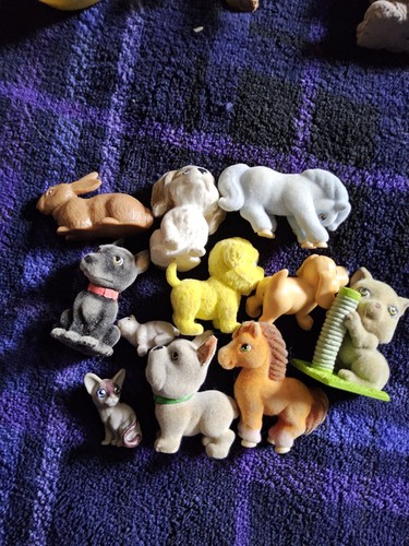 Puppy pocket and others - in,