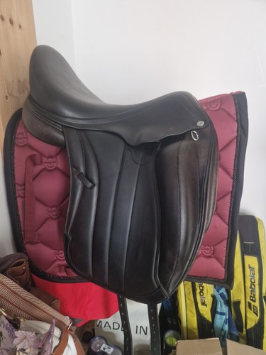 Equipe viktoria dressage - equipe,