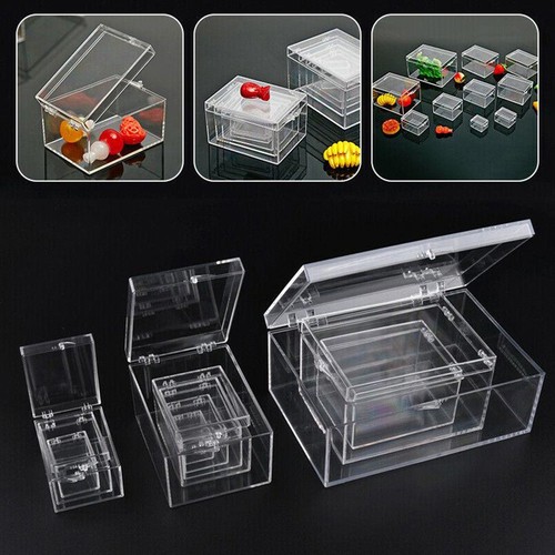 Transparent rectangular case - transparent,
