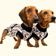 Antibacterial Dachshund Dog