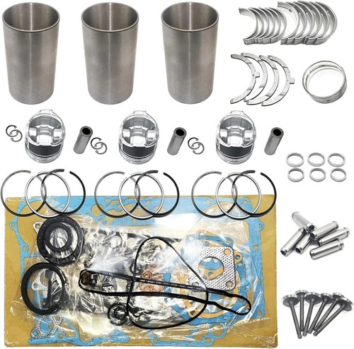 Overhaul kit engine - kit,