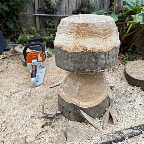 Large mushroom toadstool