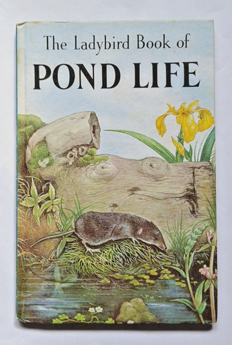 Ladybird pond life 1966 - ladybird,