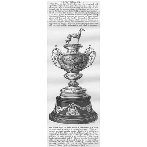 Coursing the waterloo cup - the,