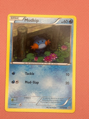 Mudkip 160 common primal - mudkip, 33/160