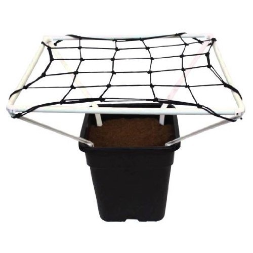 Scrog net with - net, frame