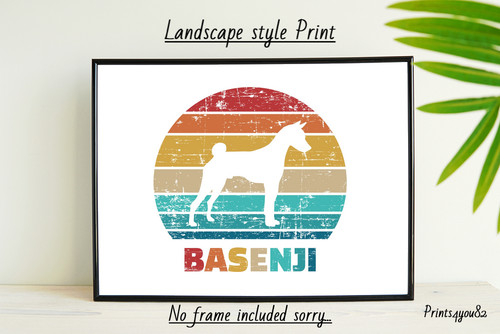 Basenji dog pet picture - dog,