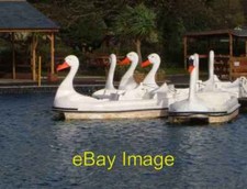 Photo 6x4 Swan pedalos at